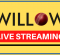 Willow TV Live Streaming Cricket – IND vs SA Final